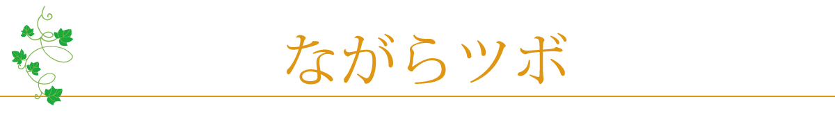 ながらツボ